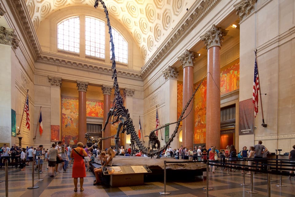 A museum interior with large columns, a dinosaur skeleton exhibit, and American flags.