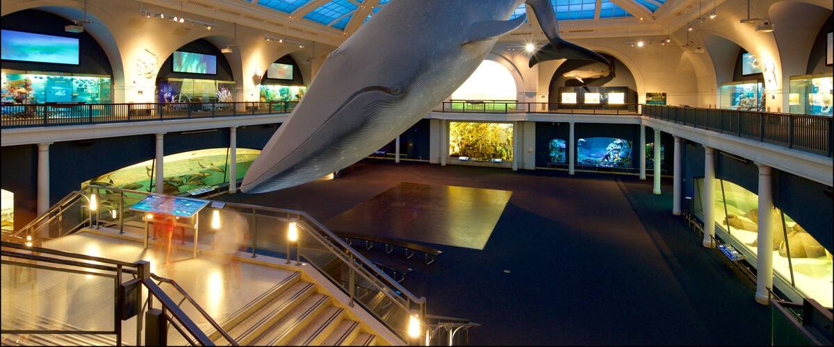 American Museum of Natural History