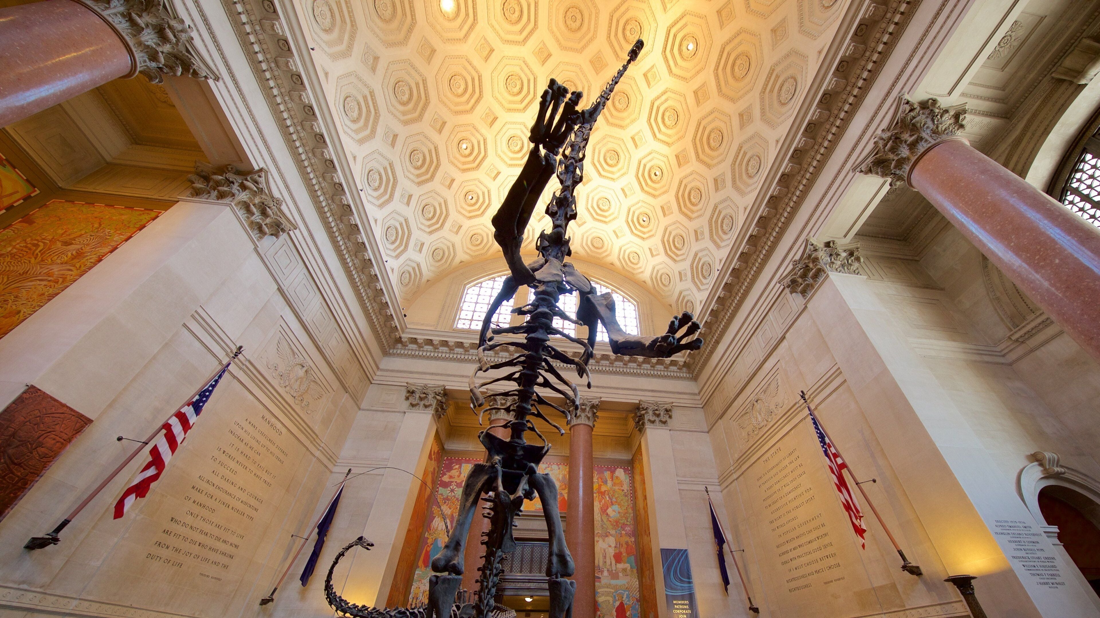 American Museum of Natural History