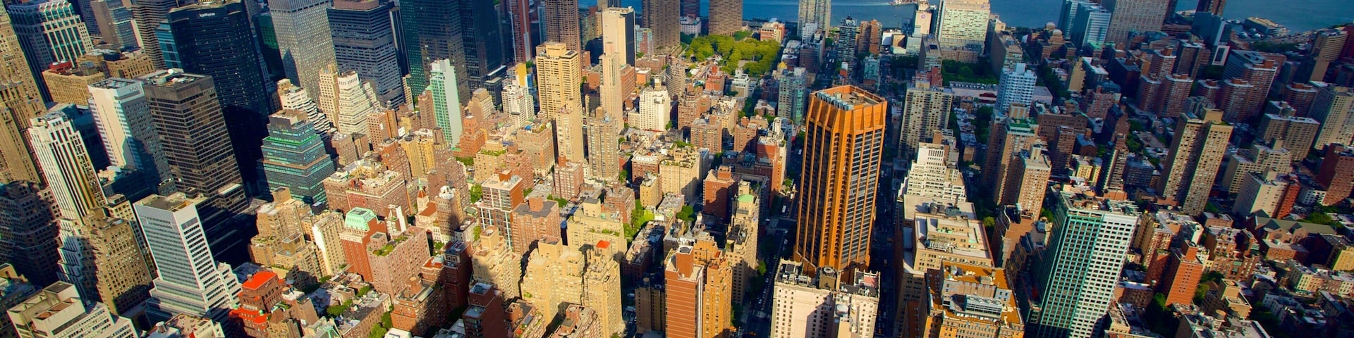 Empire State Building showing a city