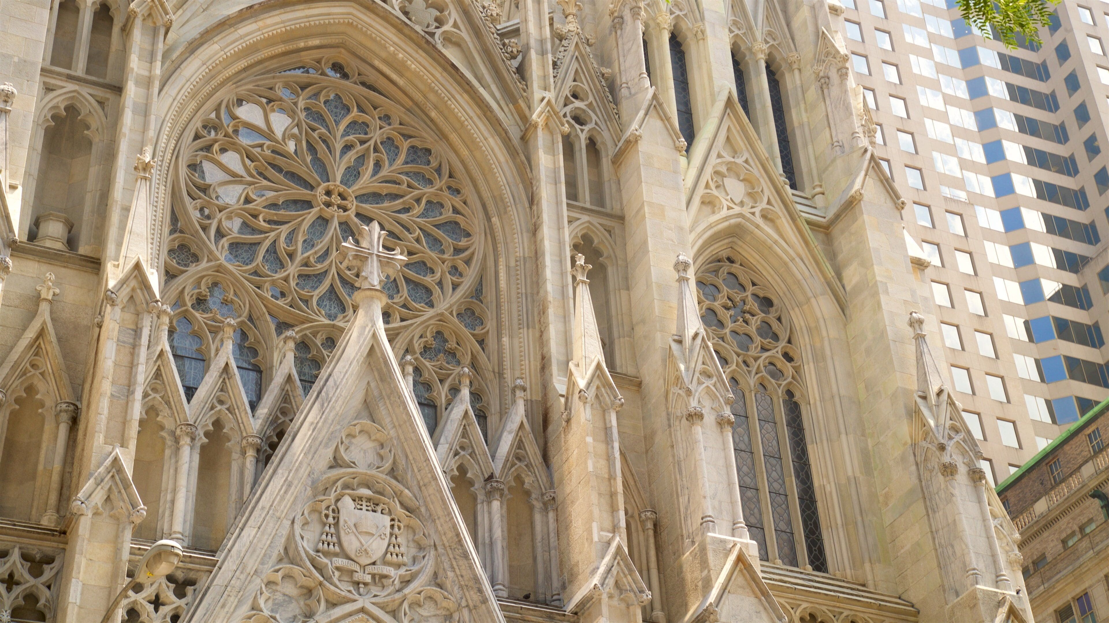 St. Patrick\'s Cathedral showing a church or cathedral and heritage elements