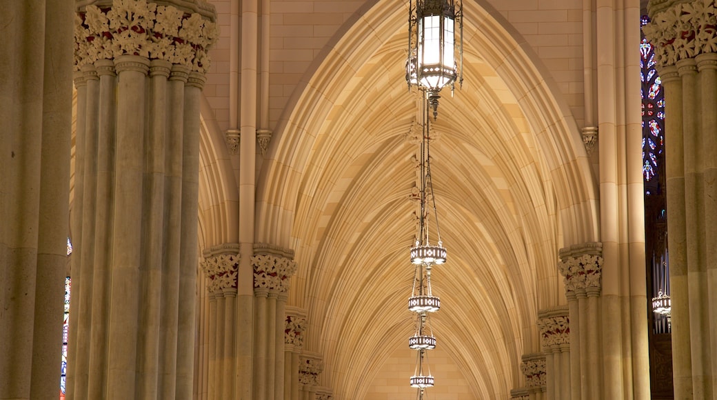 St. Patrick\'s Cathedral