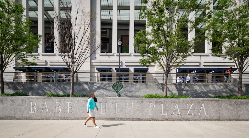Yankee Stadium featuring signage and street scenes