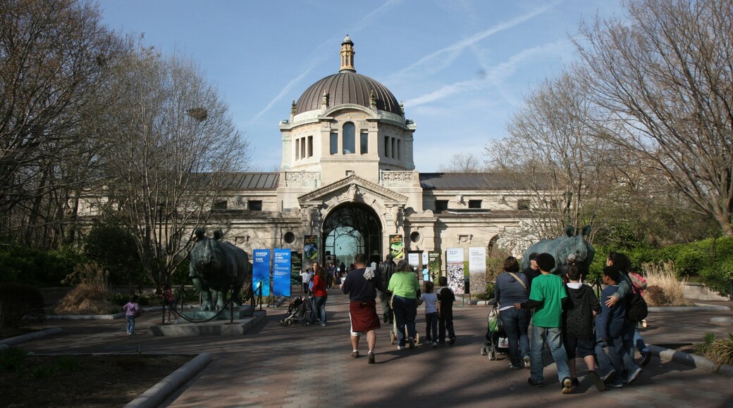 Bronx Zoo showing zoo animals