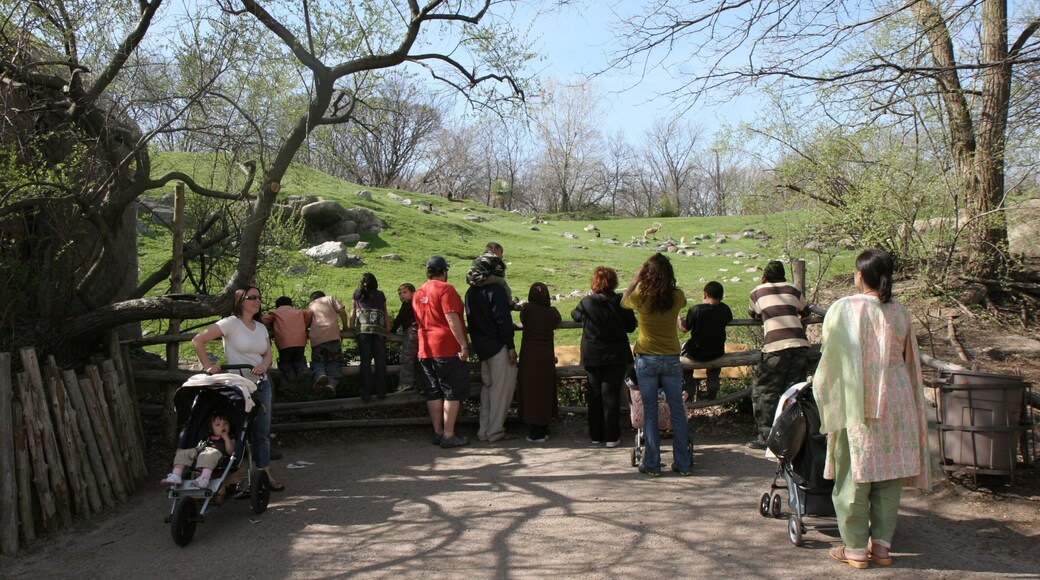 Bronx Zoo which includes zoo animals as well as a large group of people