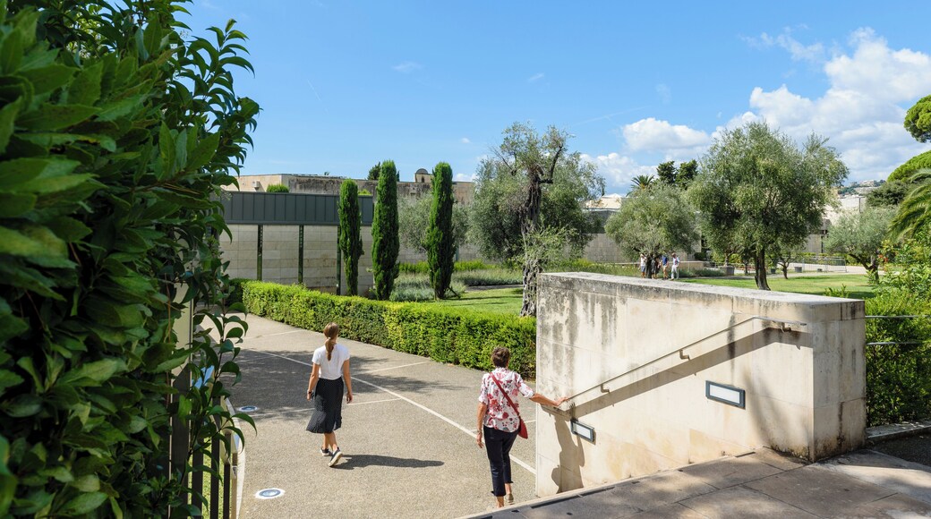 Nice_MarcChagallNationalMuseum_502118_25