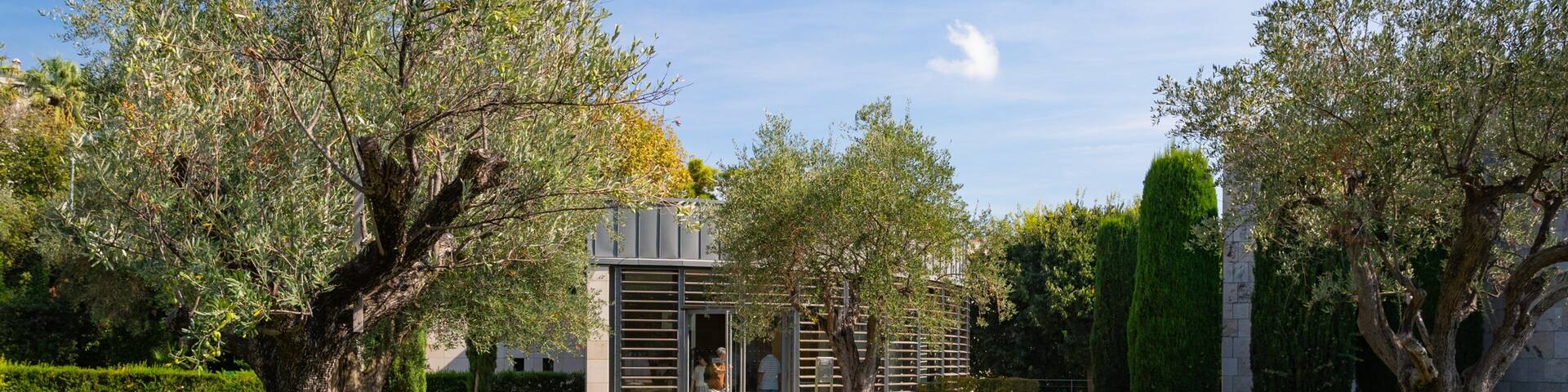 Marc Chagall National Museum showing a garden