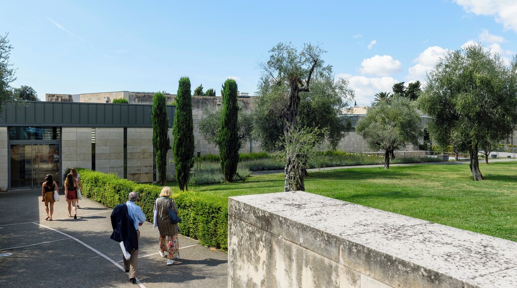 Nice_MarcChagallNationalMuseum_502118_12