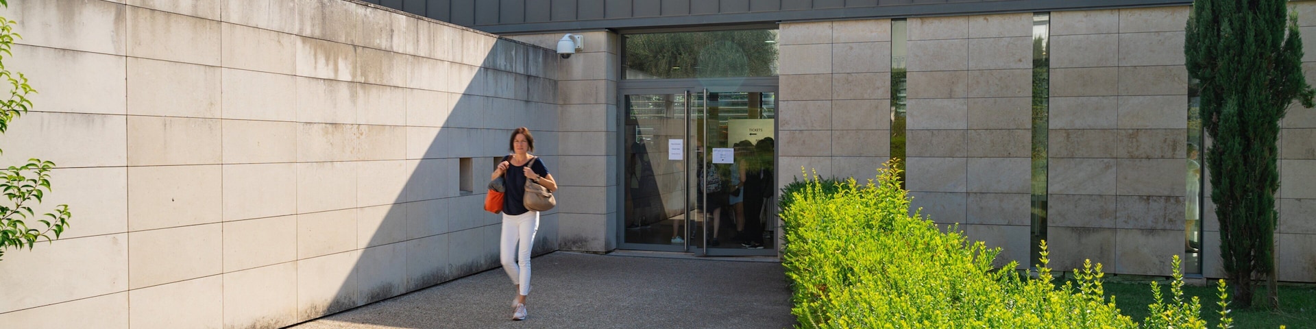 Marc Chagall National Museum showing street scenes as well as an individual femail