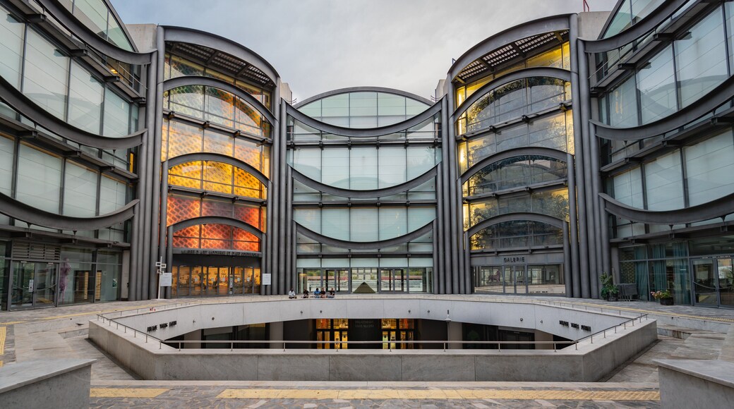 Museum of Modern and Contemporary Art