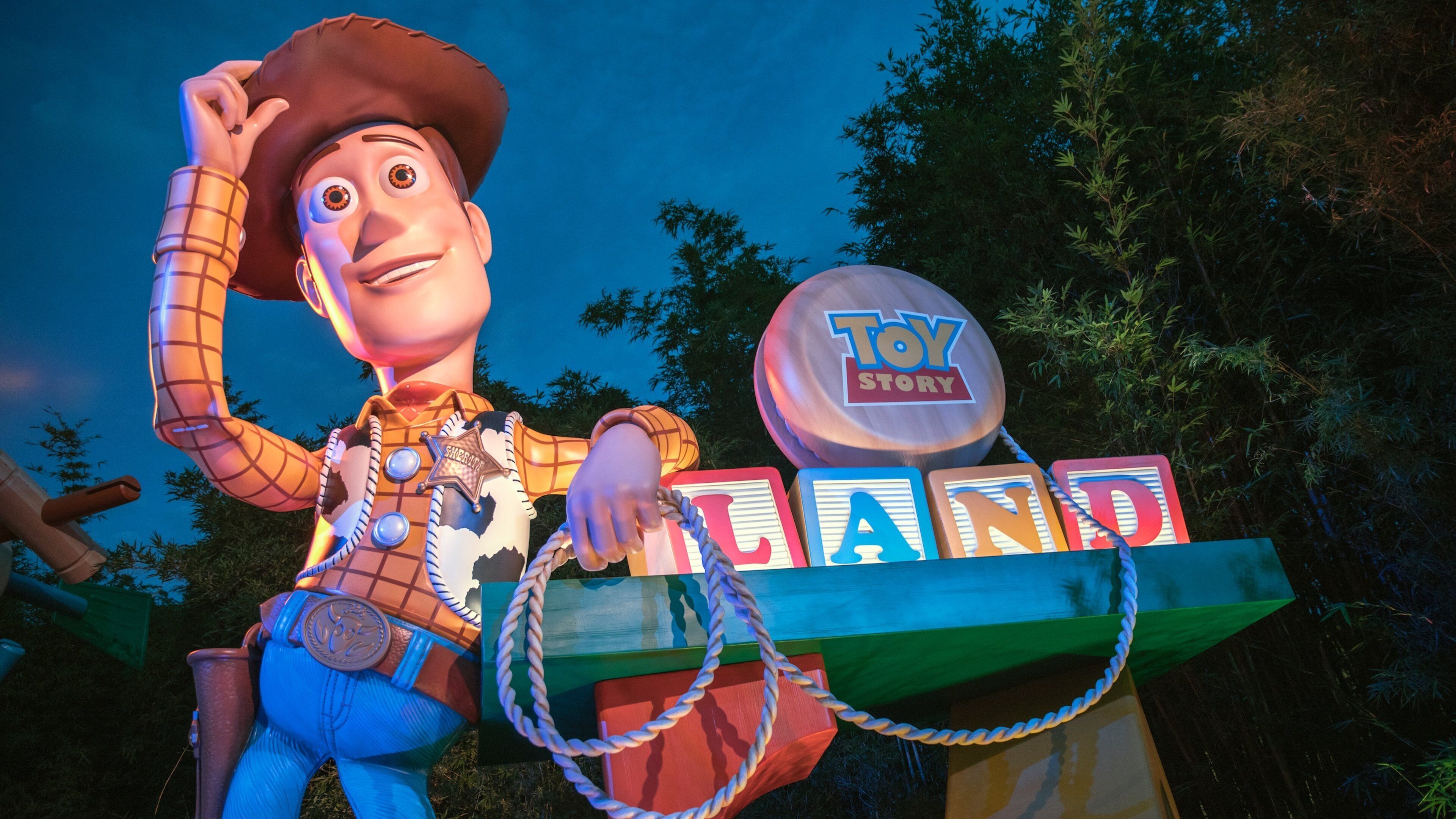 Disney\'s Hollywood Studios® featuring rides, night scenes and signage
