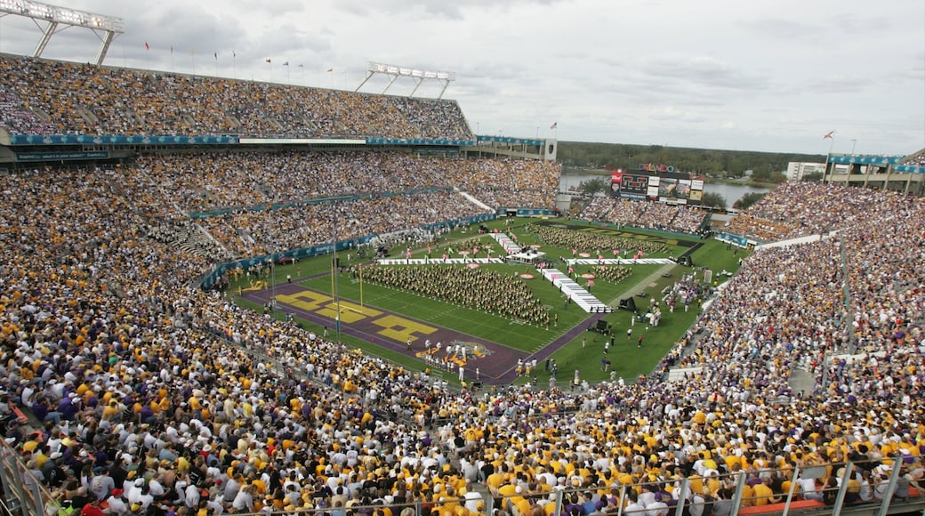Orlando showing a sporting event as well as a large group of people