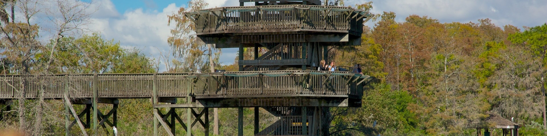 Gatorland® caracterizando um lago, cenas de floresta e um parque