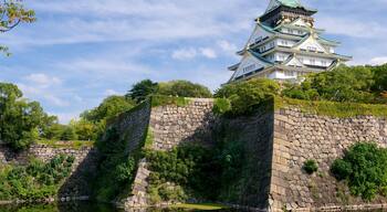 Osaka Castle showing a castle