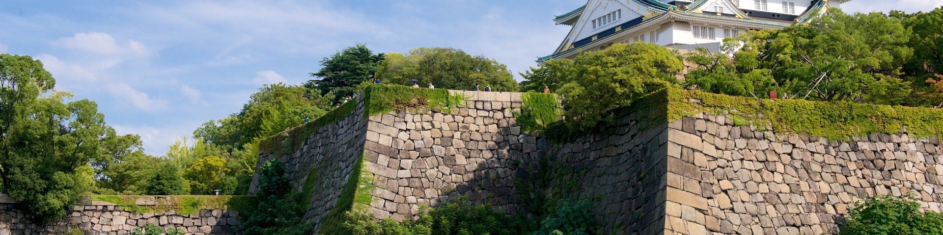 Osaka Castle showing a castle
