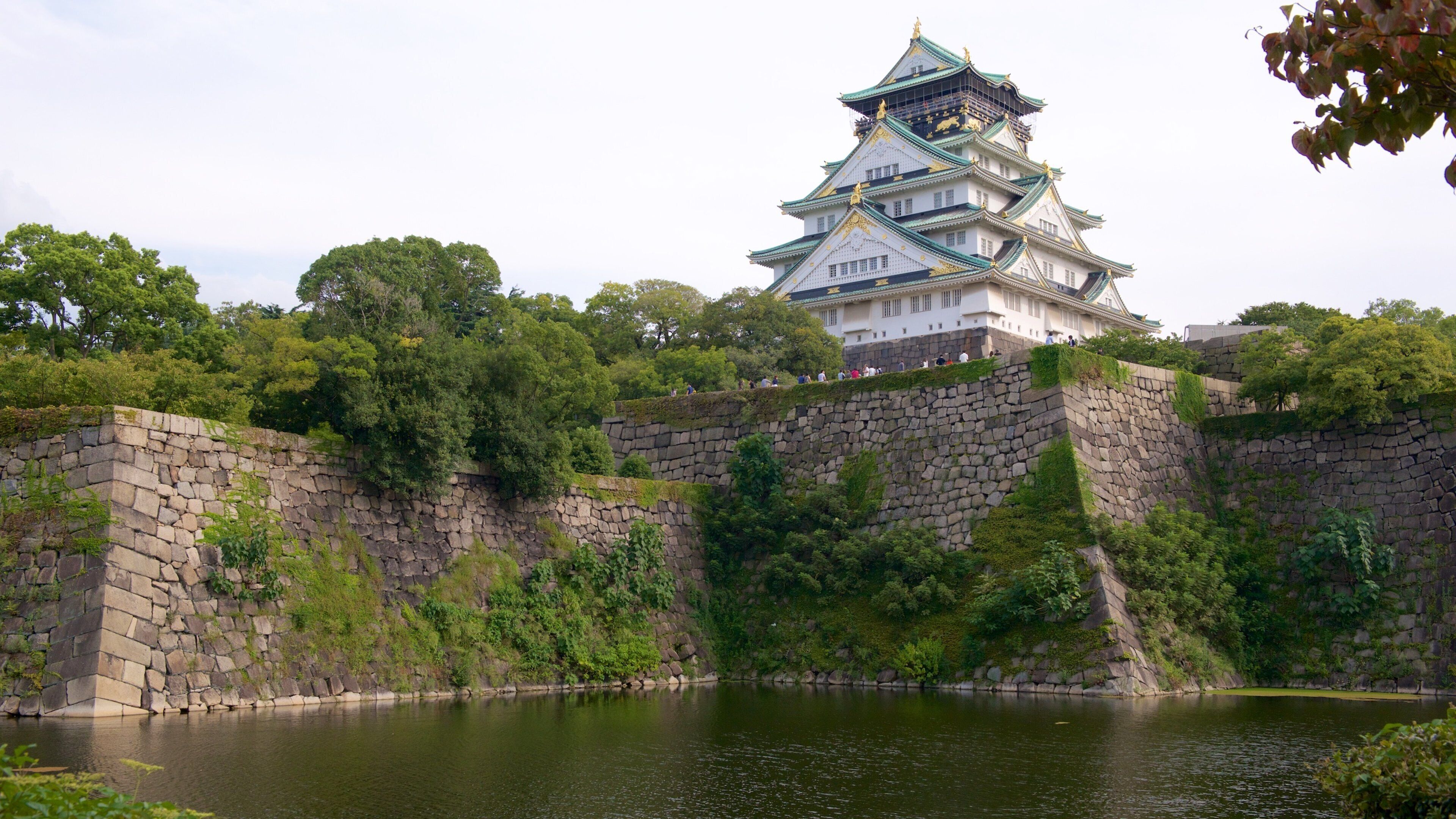Château d\'Osaka montrant château
