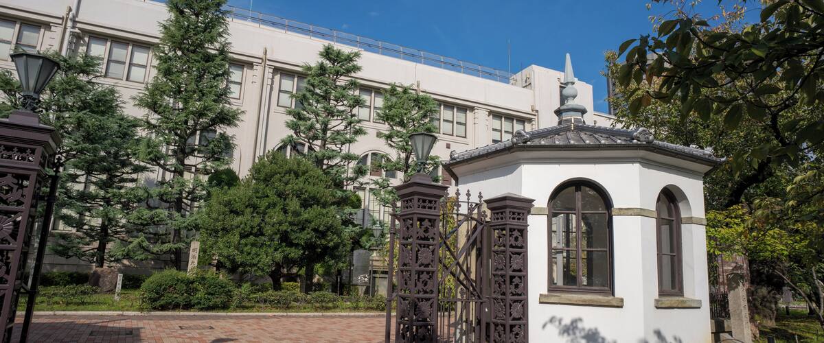 EyeEm Custom Shoots Q4 2018