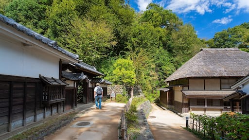 Museum of Japanese Houses featuring heritage elements as well as an individual male