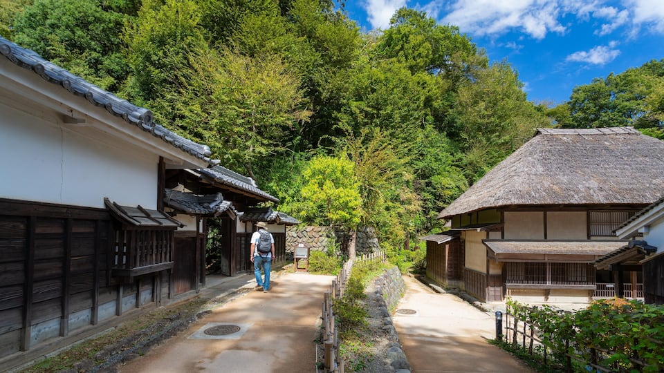 A traditional Japanese village with wooden buildings and a stone pathway.