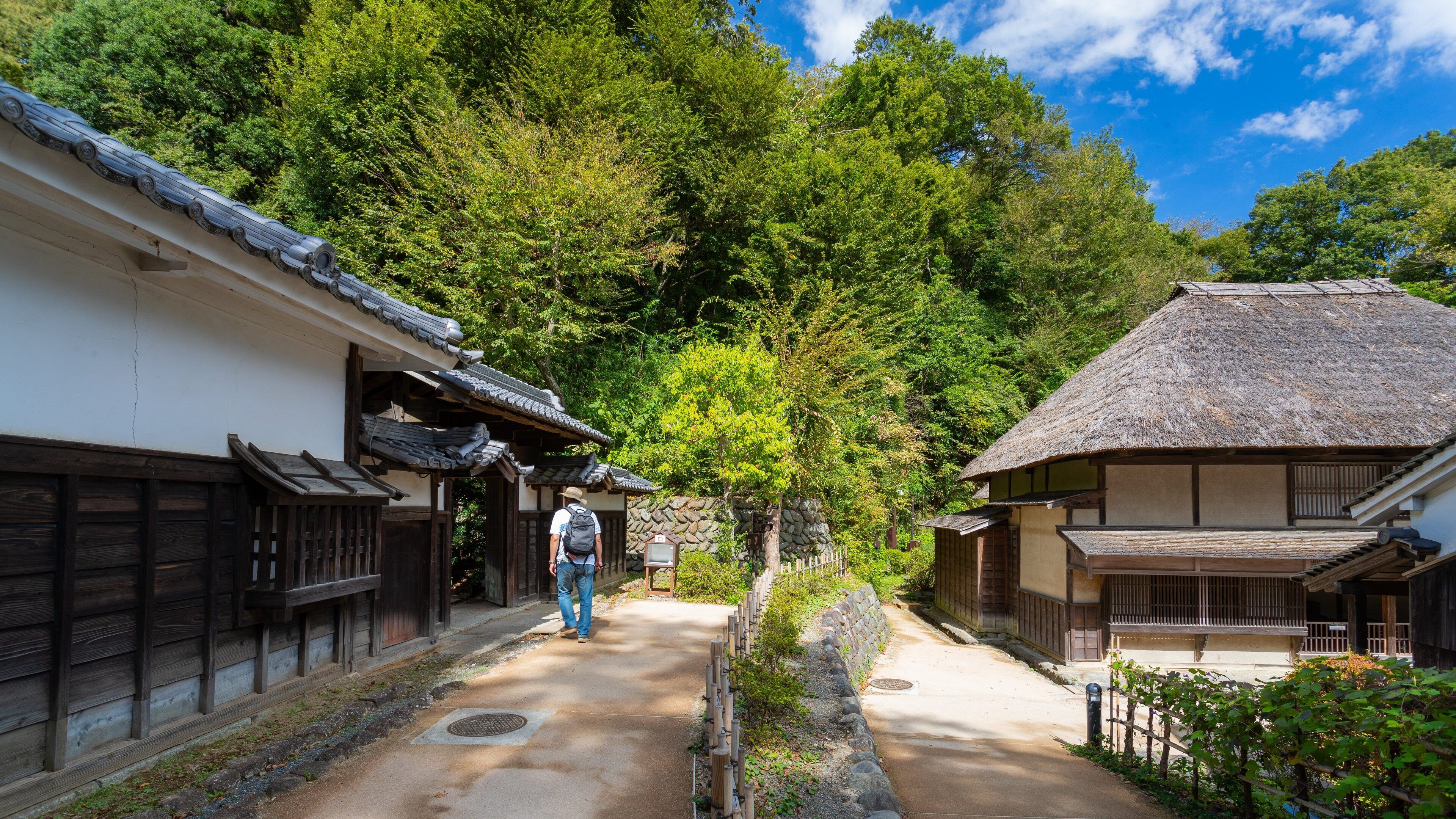 A traditional Japanese village with wooden buildings and a stone pathway.