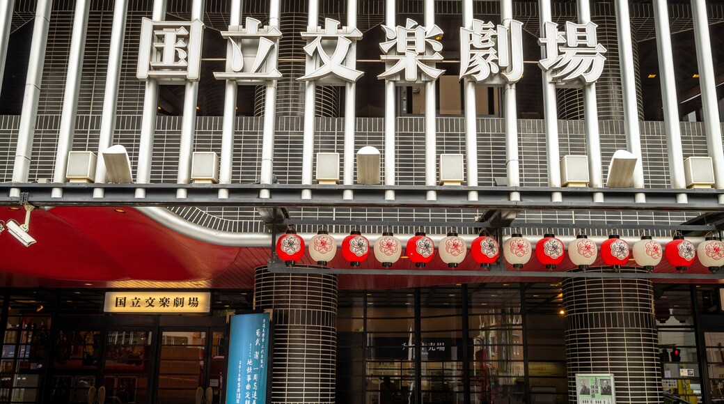 National Bunraku Theater featuring signage