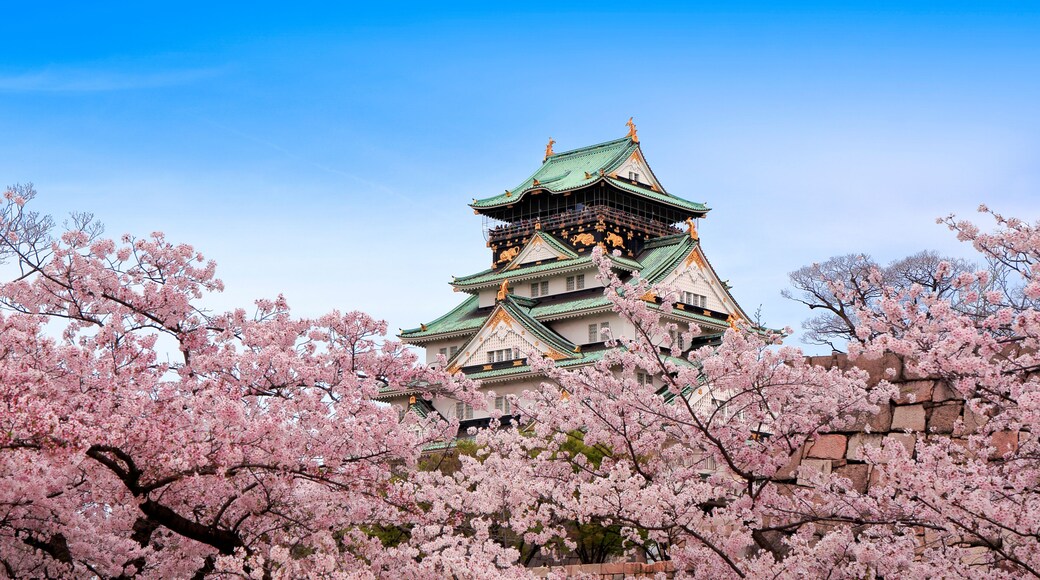 A traditional Japanese castle with cherry blossoms in the foreground.