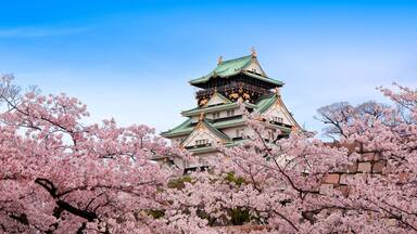 Un castillo japonés tradicional con cerezos en primer plano.