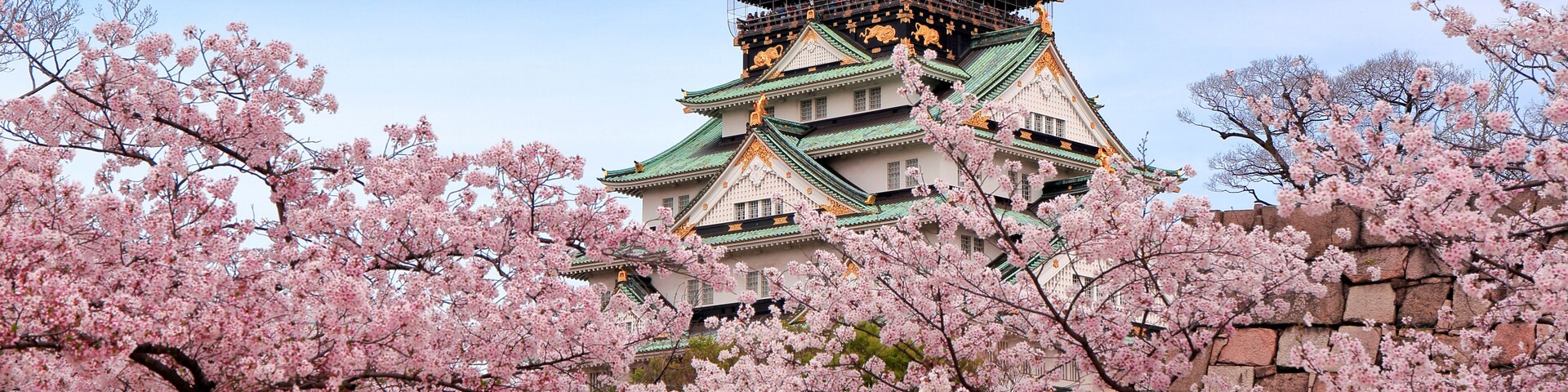 Un castillo japonés tradicional con cerezos en primer plano.