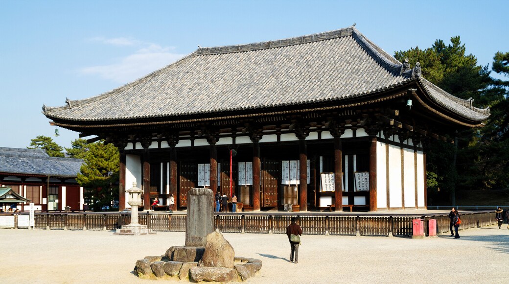 Horyuji Temple of Nara, unesco world heritage, Japan