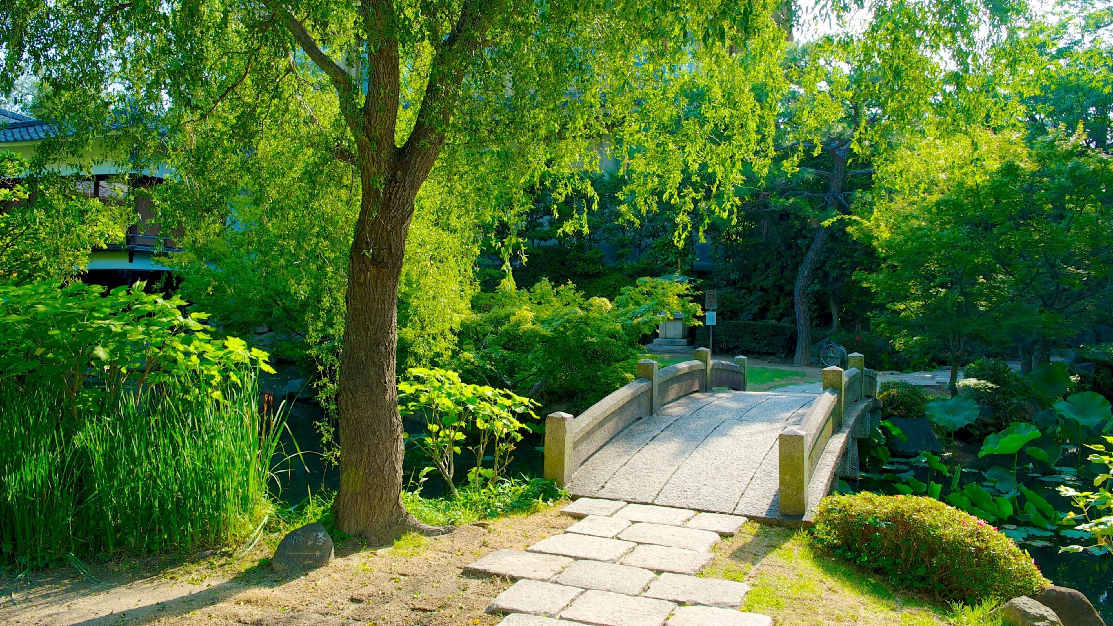 Templo Shitennoji mostrando un jardín y un templo o lugar de culto