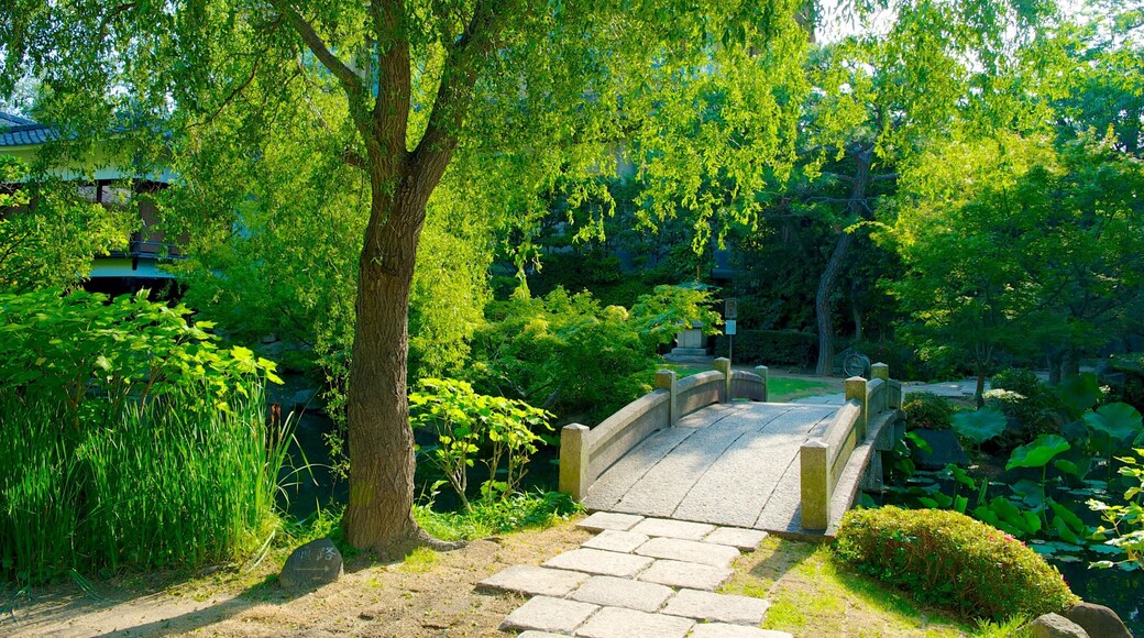 Templo Shitennoji mostrando un jardín y un templo o lugar de culto