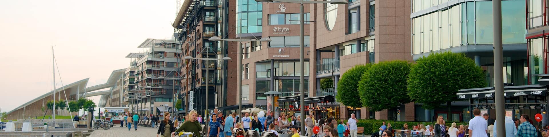 Aker Brygge which includes a coastal town and modern architecture as well as a large group of people