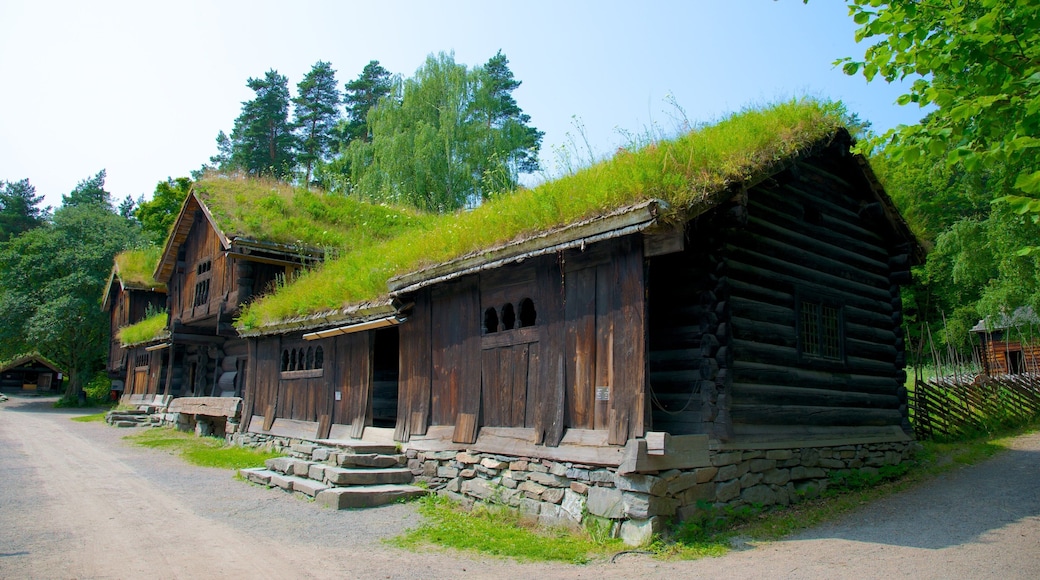 Norwegian Museum of Cultural History
