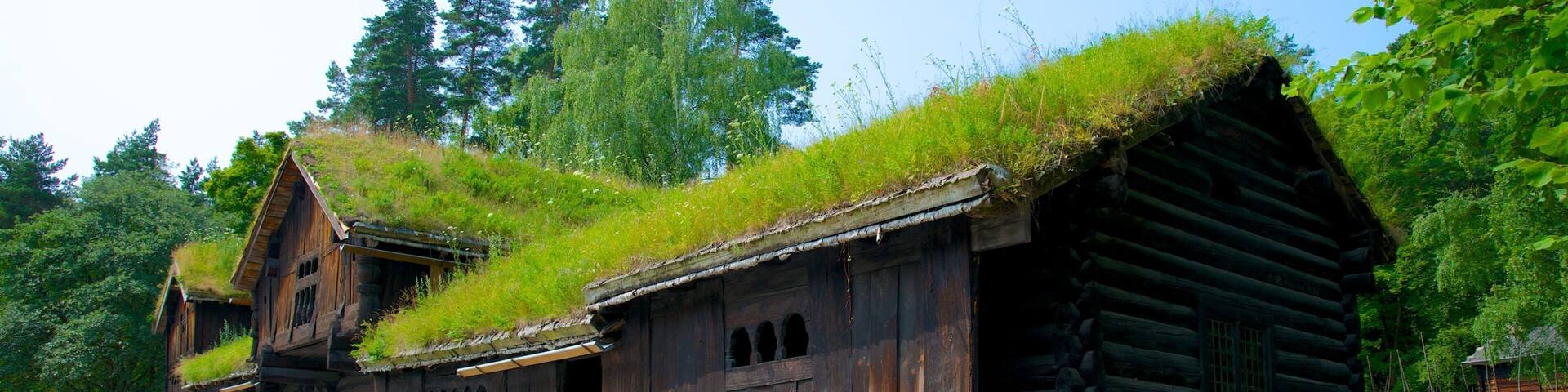 Norwegian Museum of Cultural History