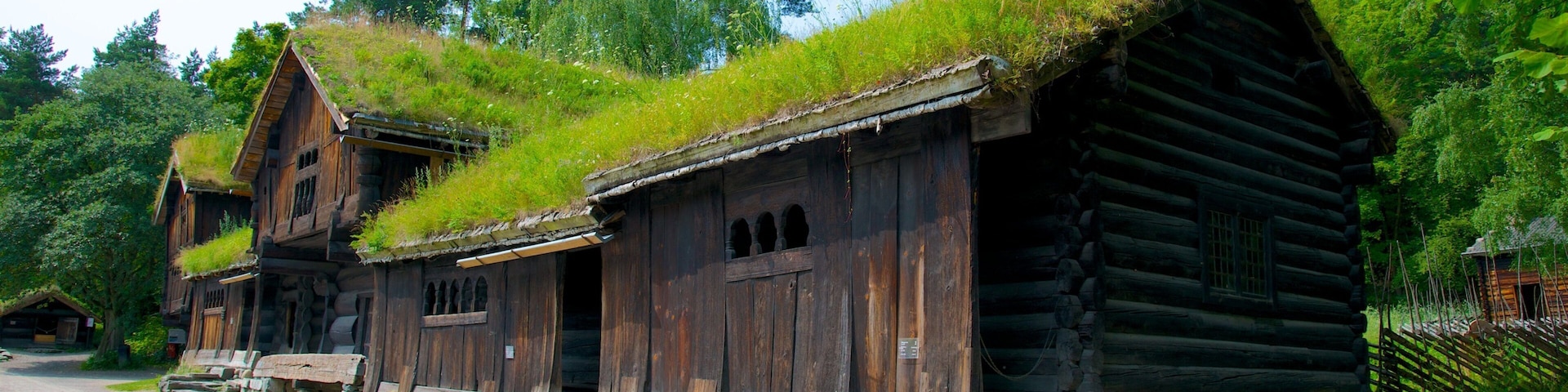 挪威历史文化博物馆