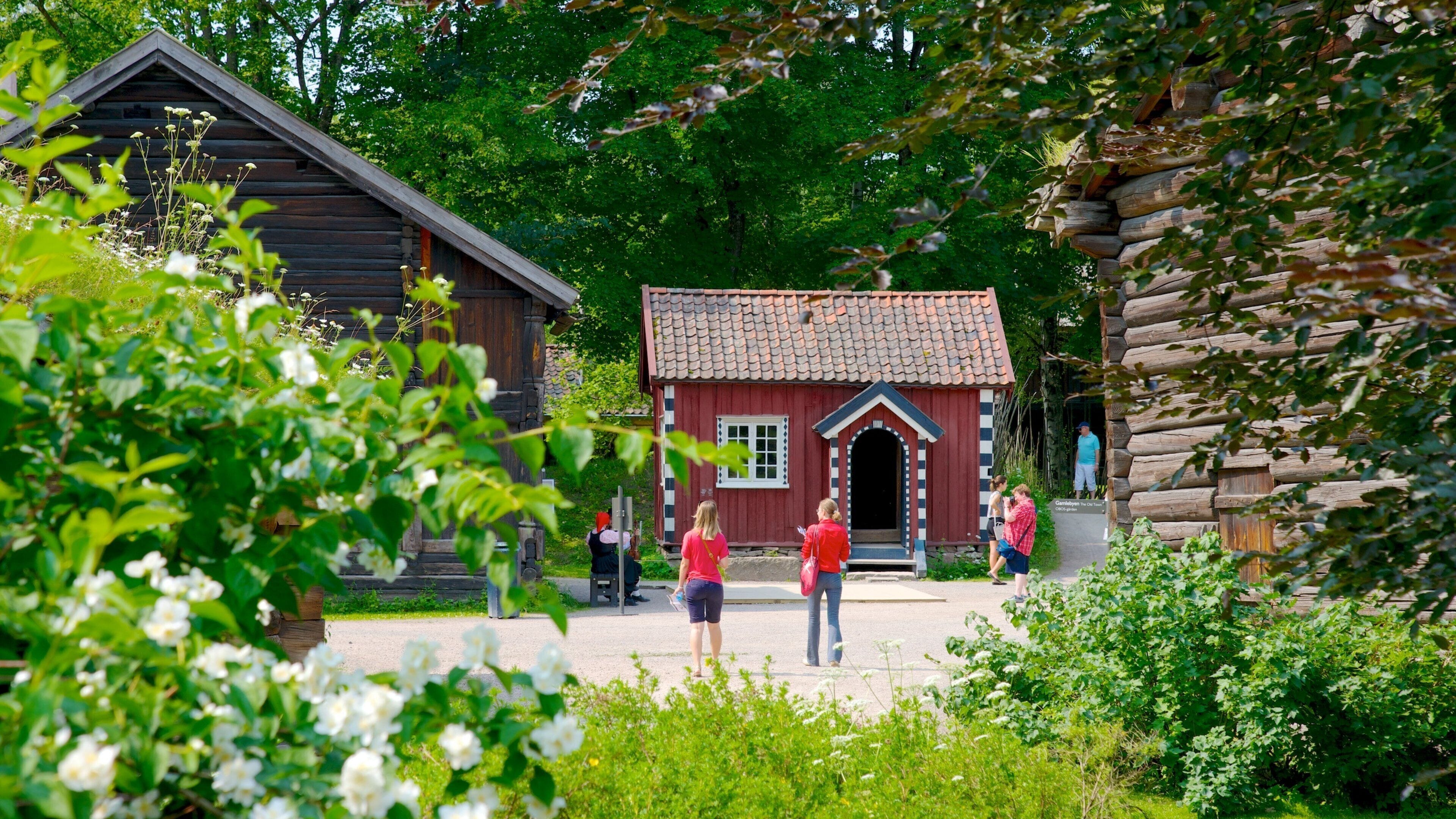 Norwegian Museum of Cultural History