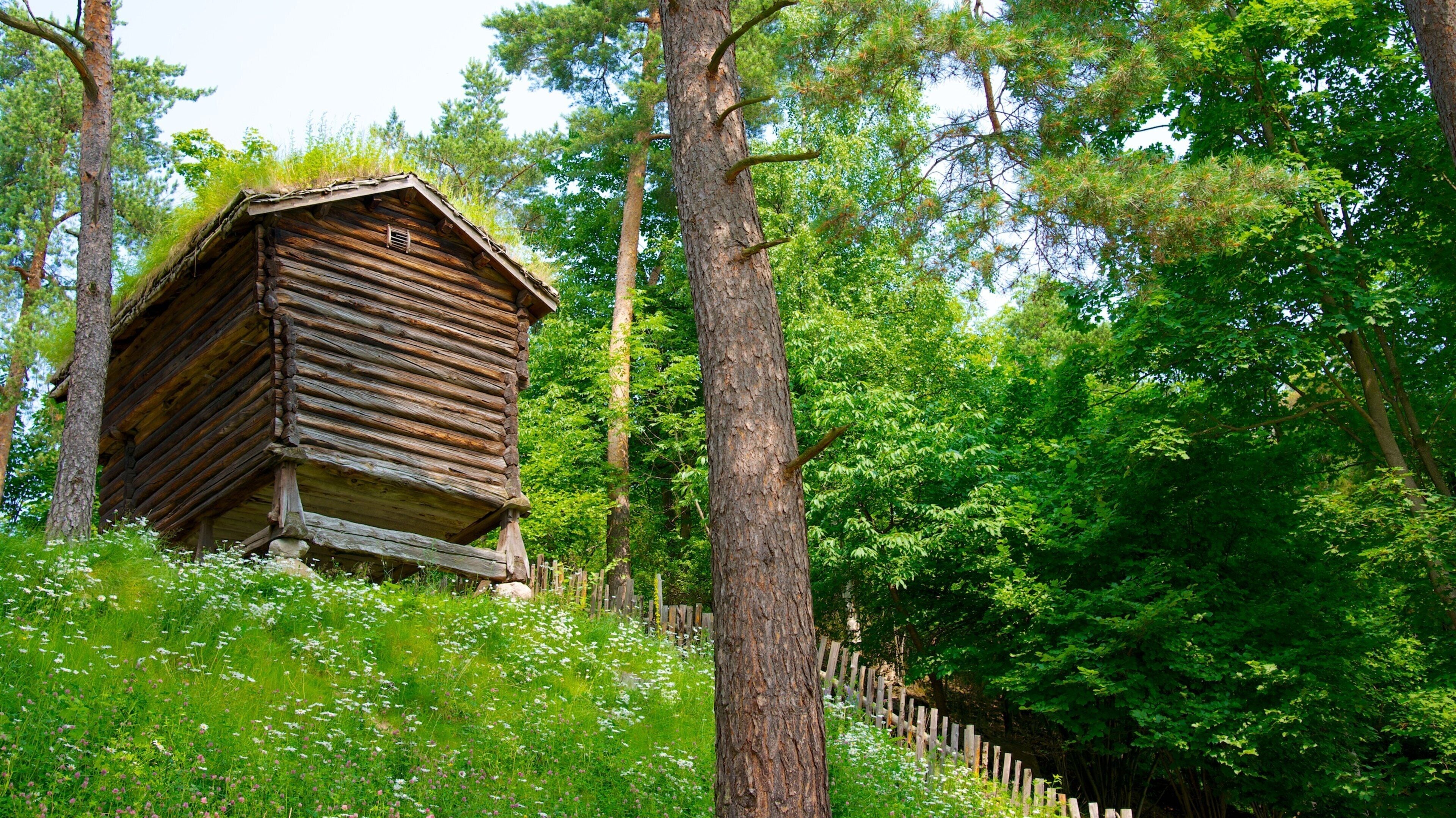 Musée d\'histoire culturelle