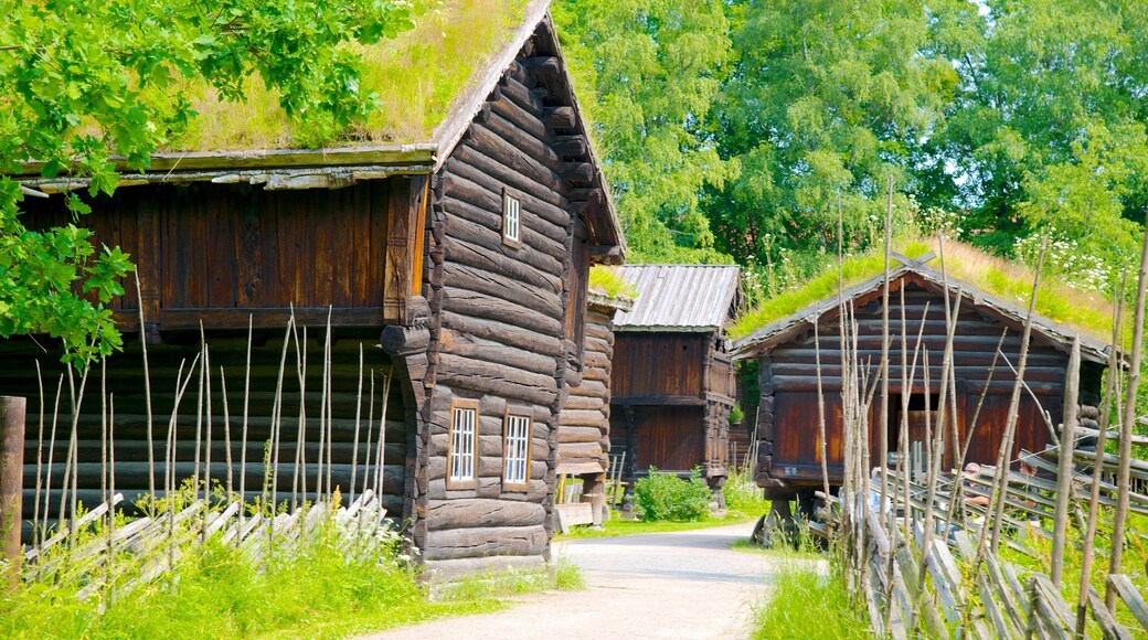 Norwegian Museum of Cultural History