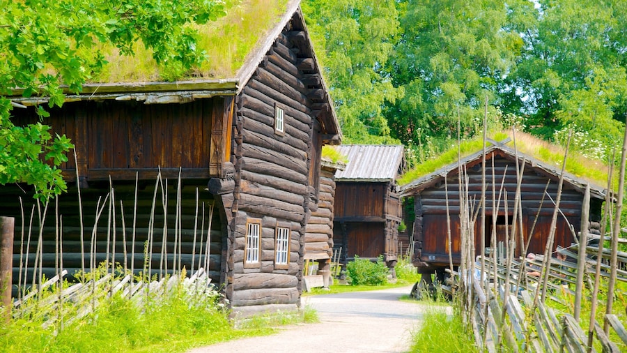 Museo Noruego de Historia Cultural