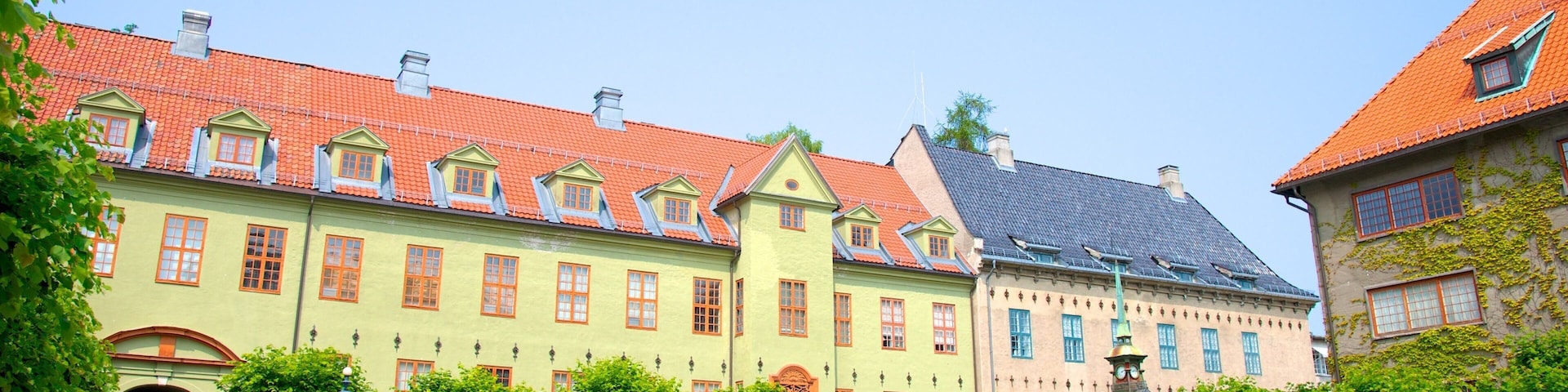 Norwegian Museum of Cultural History
