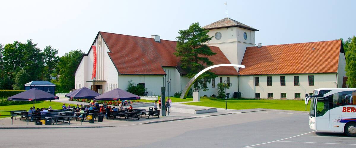 Musée des navires vikings