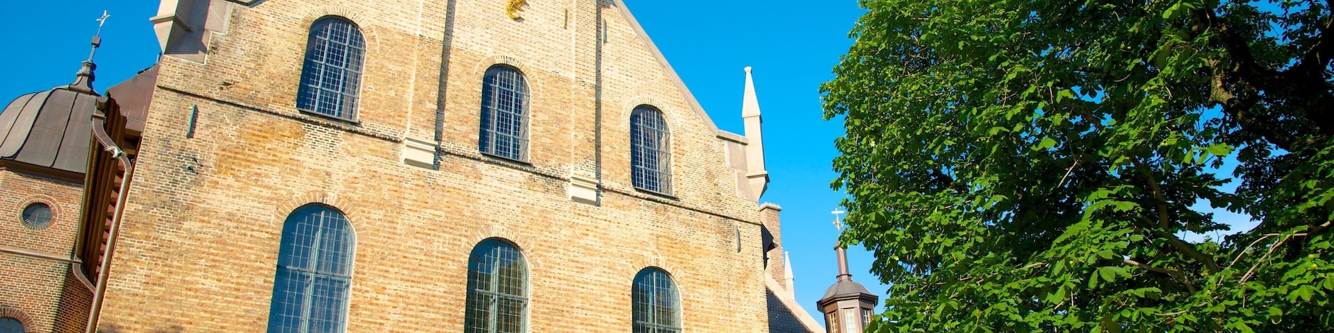 Oslo Cathedral which includes a church or cathedral and heritage architecture