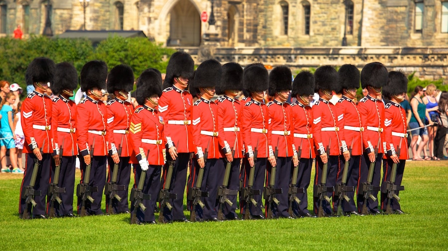 Parliament Hill showing performance art, a garden and military items