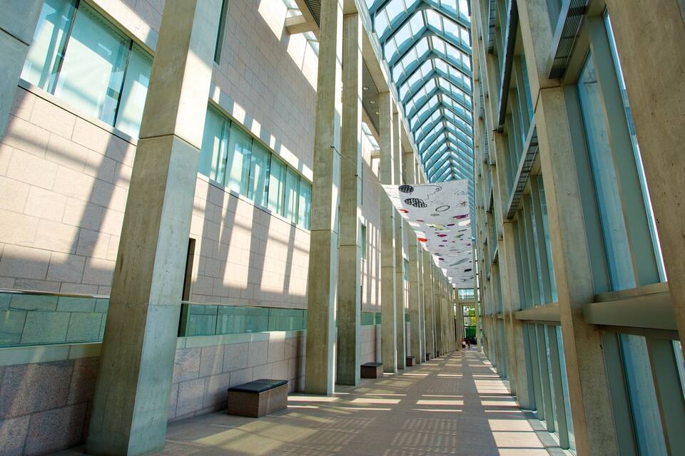 A long corridor with high ceilings, large windows, and columns.