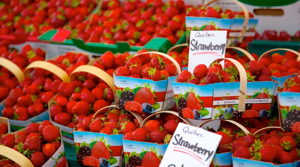 Byward Market Square showing markets, signage and food