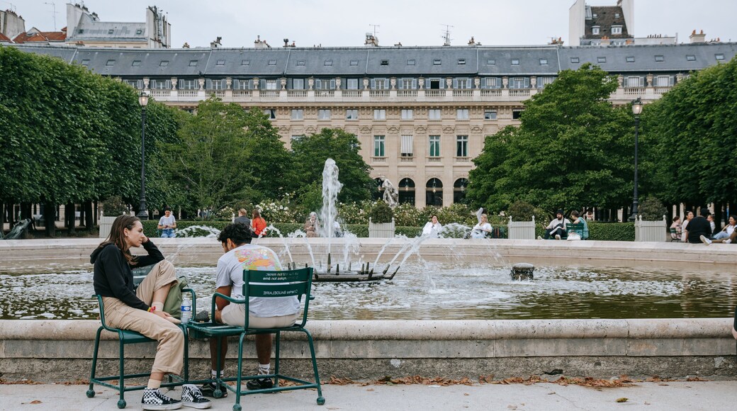 Palais Royal showing a fountain as well as a couple