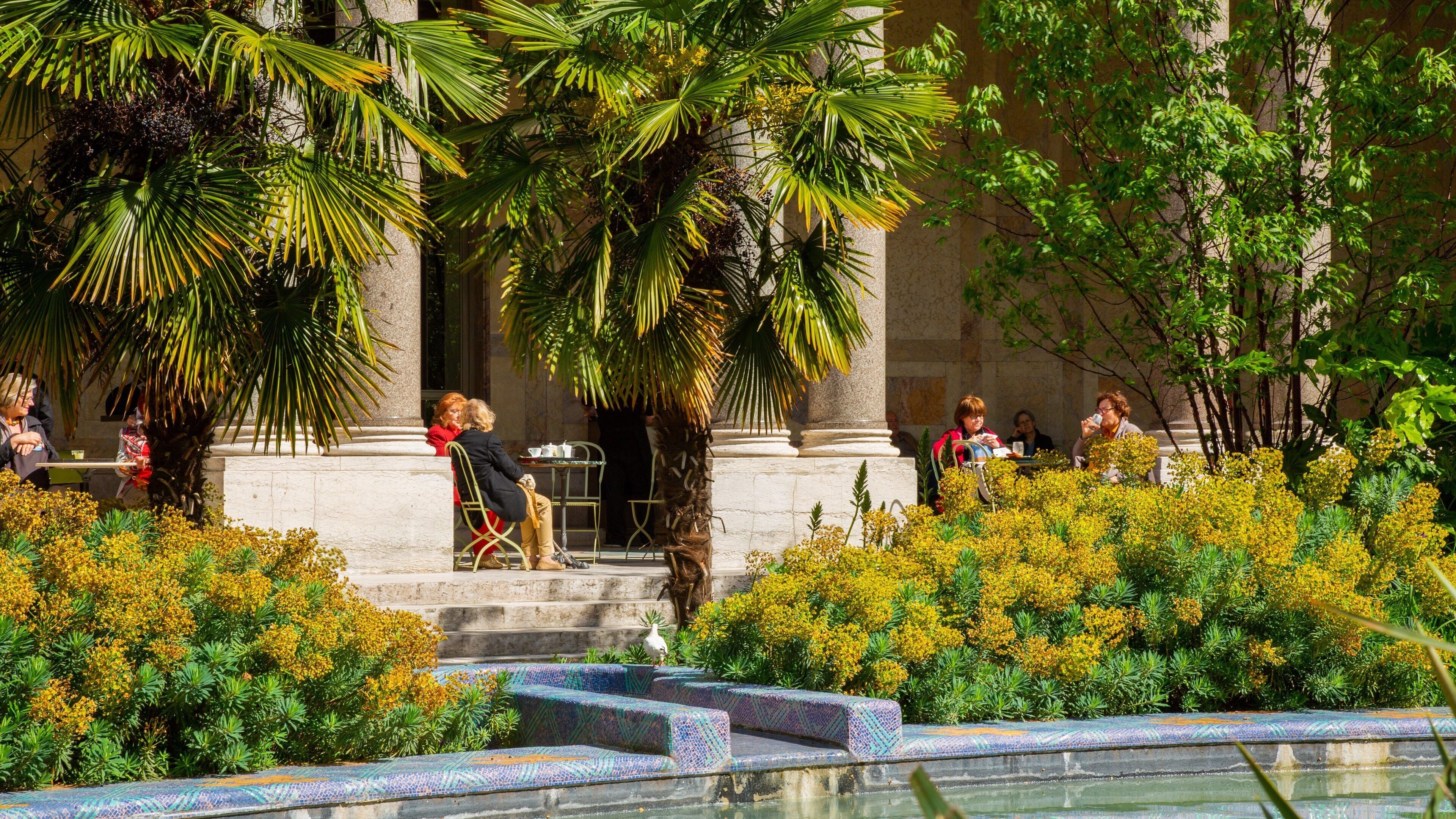 Petit Palais featuring a park