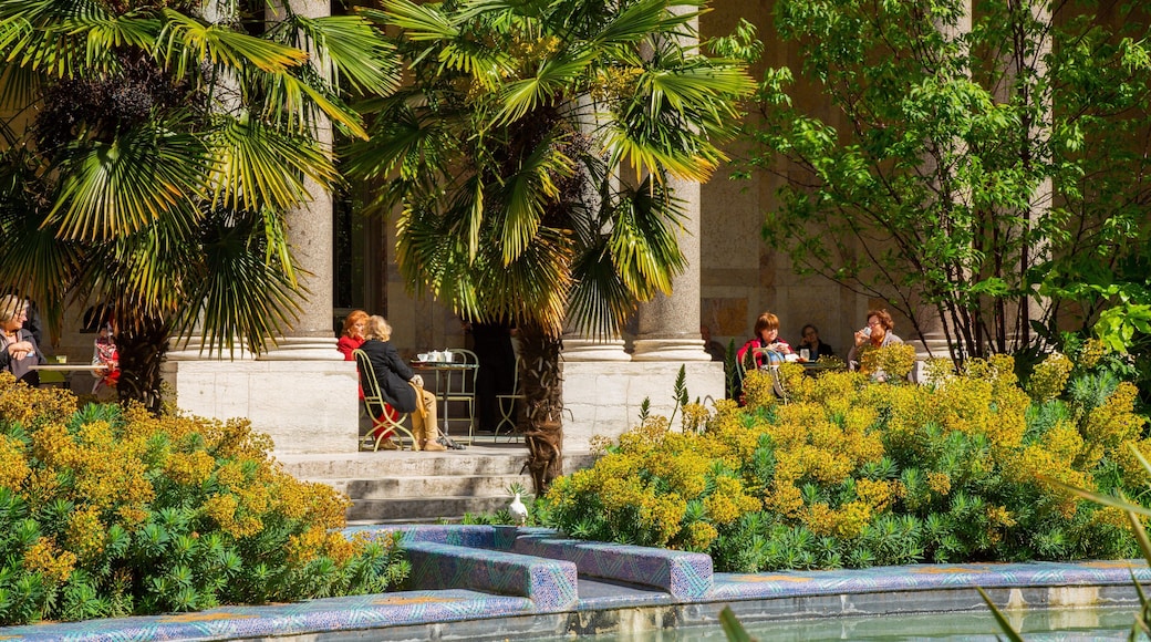 Petit Palais featuring a park