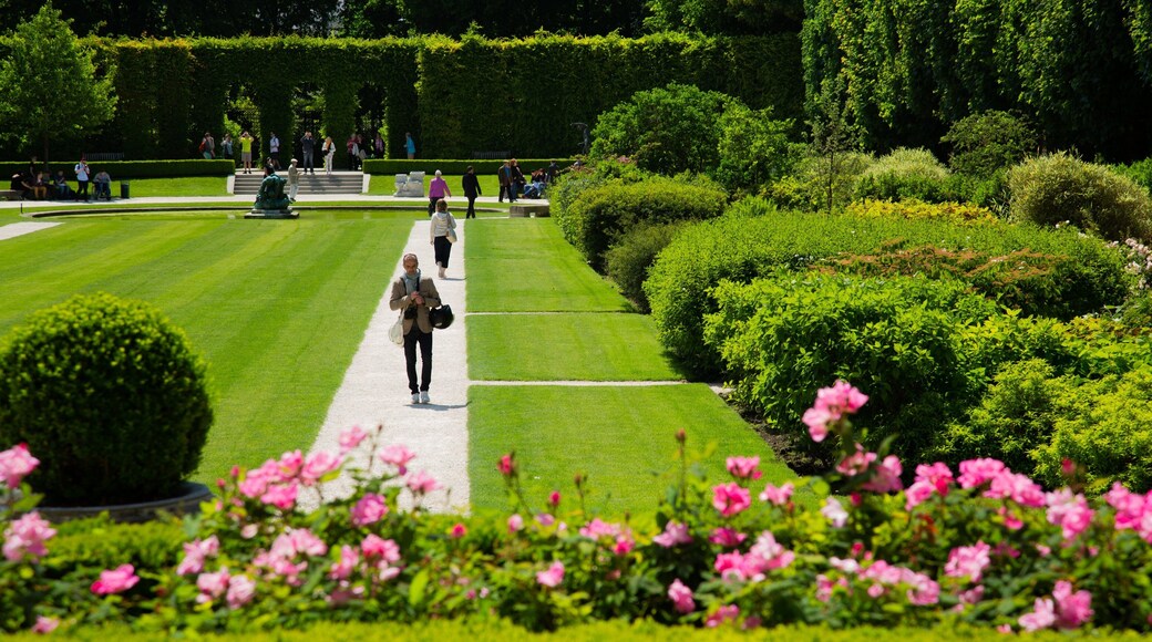 Rodin Museum showing a park and flowers as well as an individual male