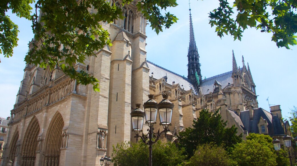 Notre Dame Cathedral showing a church or cathedral, heritage elements and heritage architecture